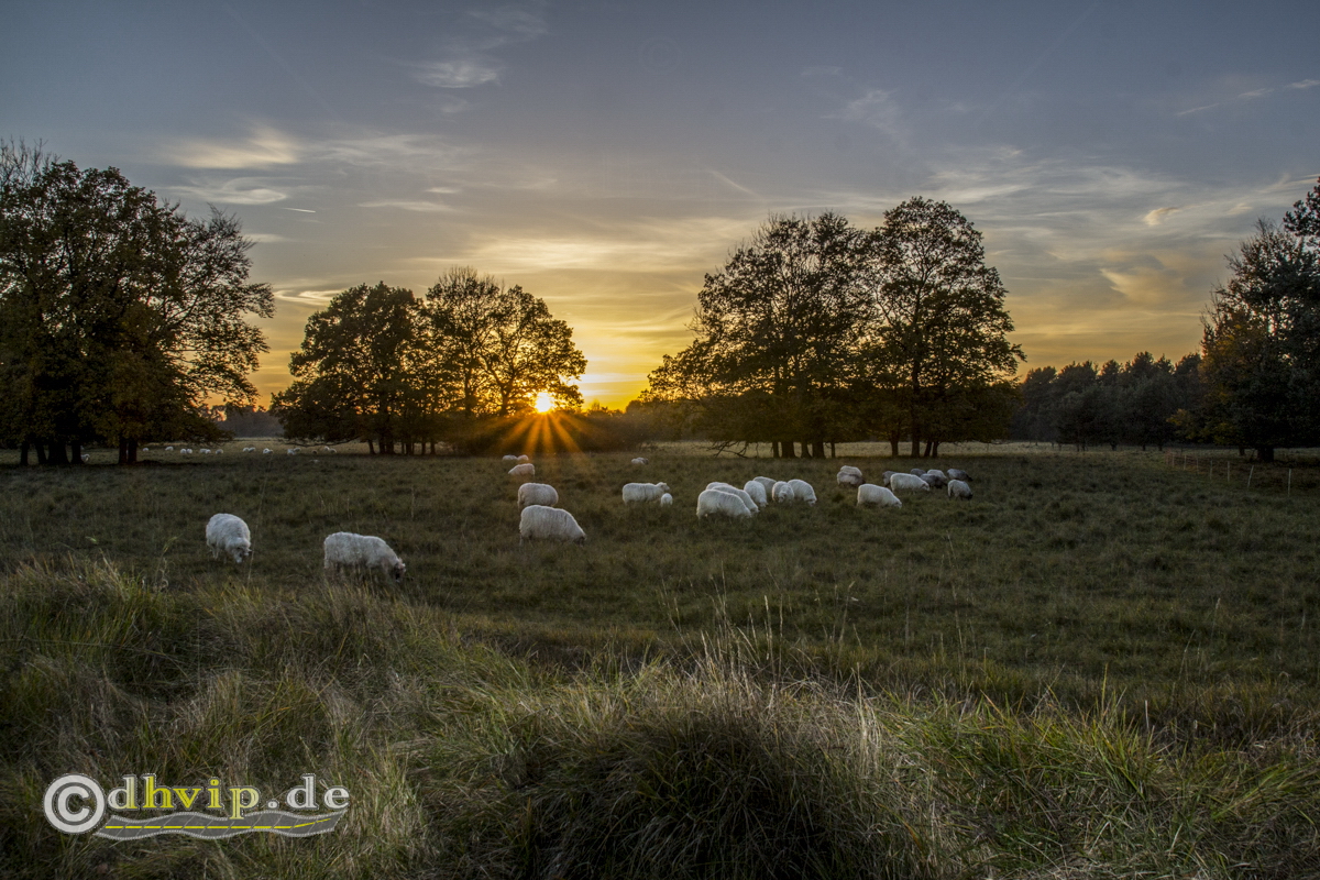 Picture available for sale in the shop.